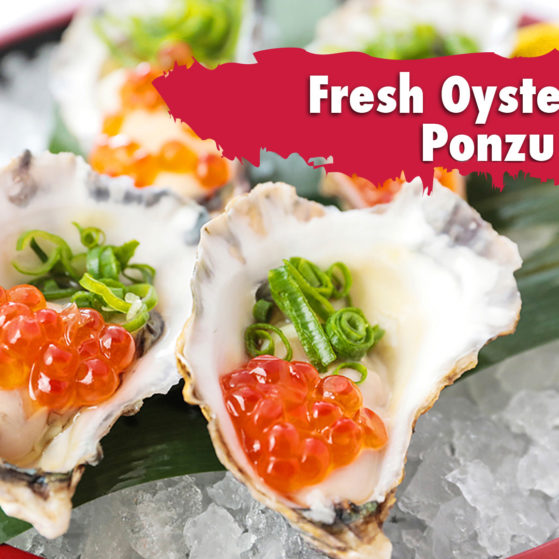 Fresh Oyster