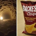 One bag of cheese chips completely transformed Mammoth Cave’s delicate ecosystem in ways scientists never imagined