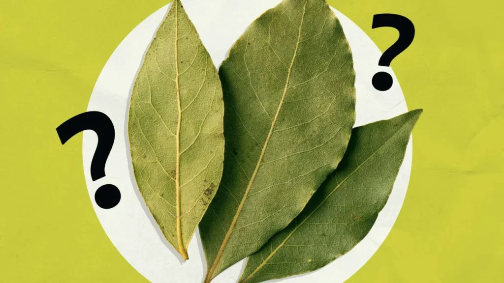 Why This Chef Says You’ve Been Wrong About Bay Leaves Your Entire Cooking Life